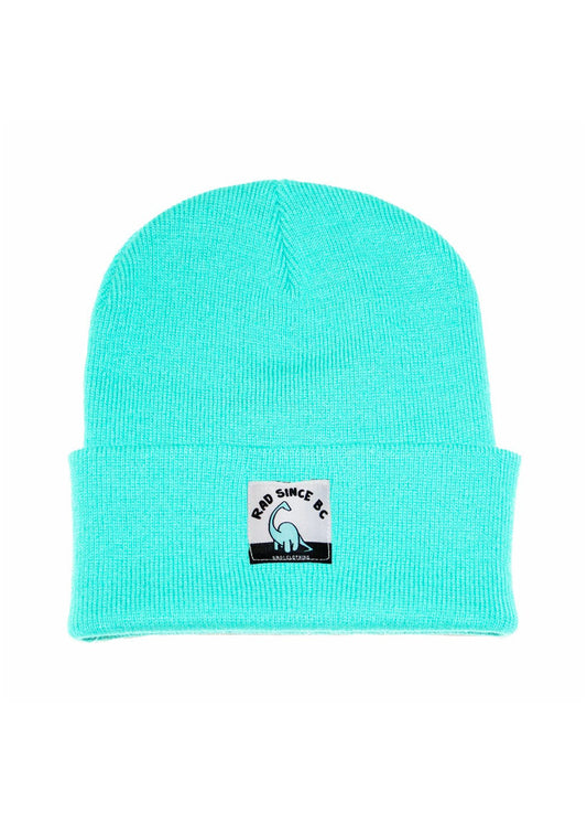 Rad Since BC beanie (mint)
