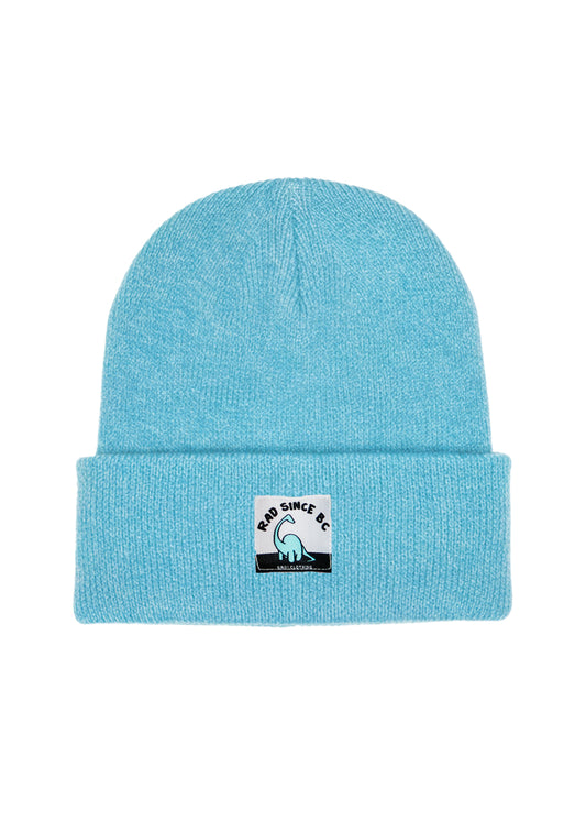 Rad Since BC beanie (heather surf)